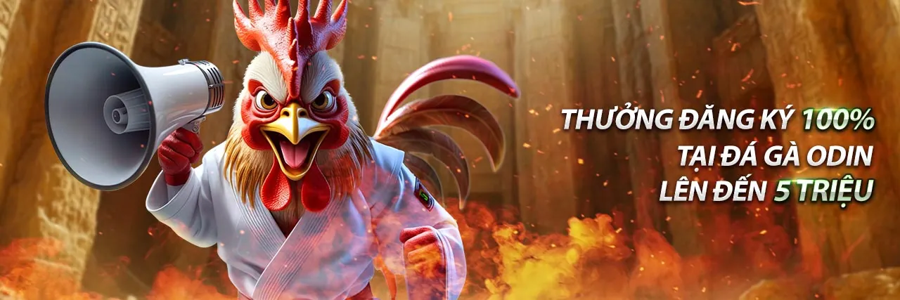 Cá cược thể thao kịch tính với kèo nhà cái VIP