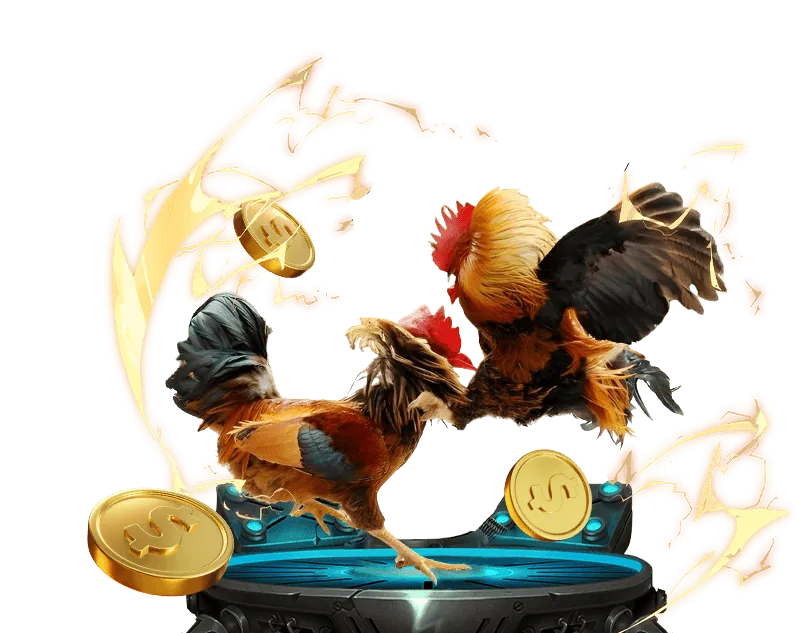 Cá cược bóng đá